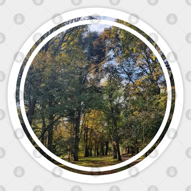 Trees Nature Circle Graphic Sticker by ellenhenryart